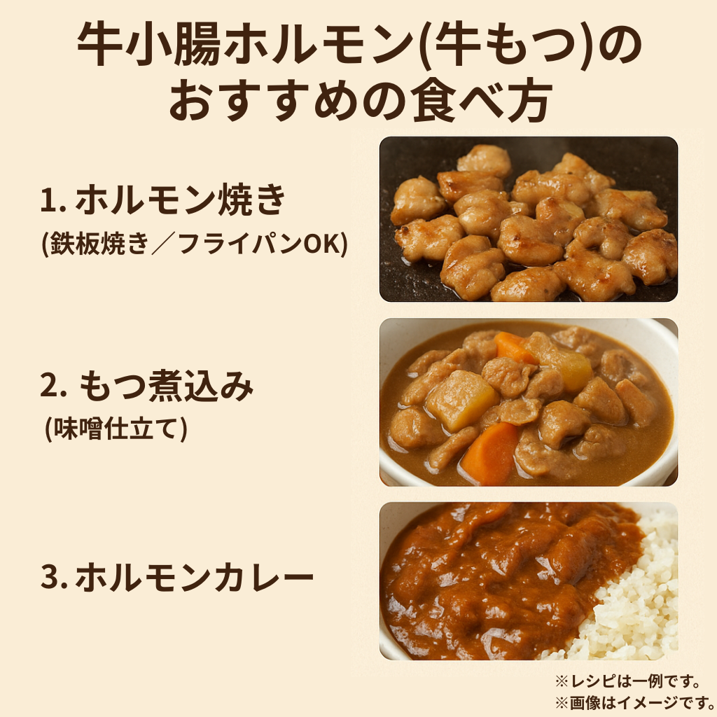 TAKUNABE ホルモン 牛小腸 国産 牛ホルモン 湯引き下処理済み 牛