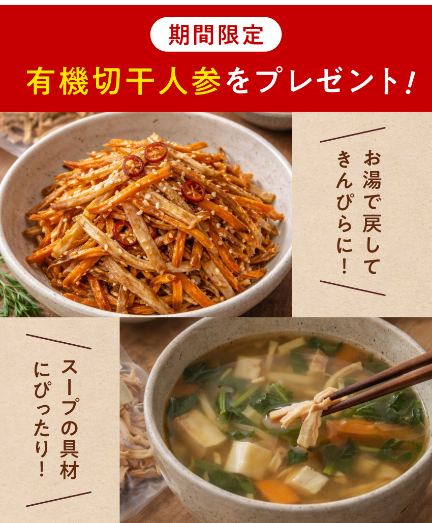 タマチャンショップ 野菜セット 九州産 国産 お試し 8品 やさい 産地