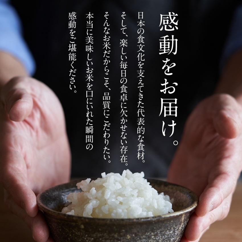 お米 ヒノヒカリ お米 ひのひかり 300g 2合 精白米 都城ふるさと米