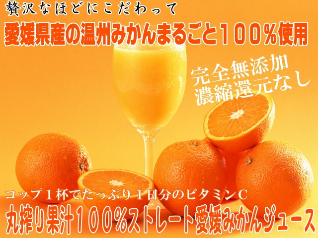 みかんジュース 1000ml×12本 果汁100％ 愛媛 無添加 1本に約30個分 