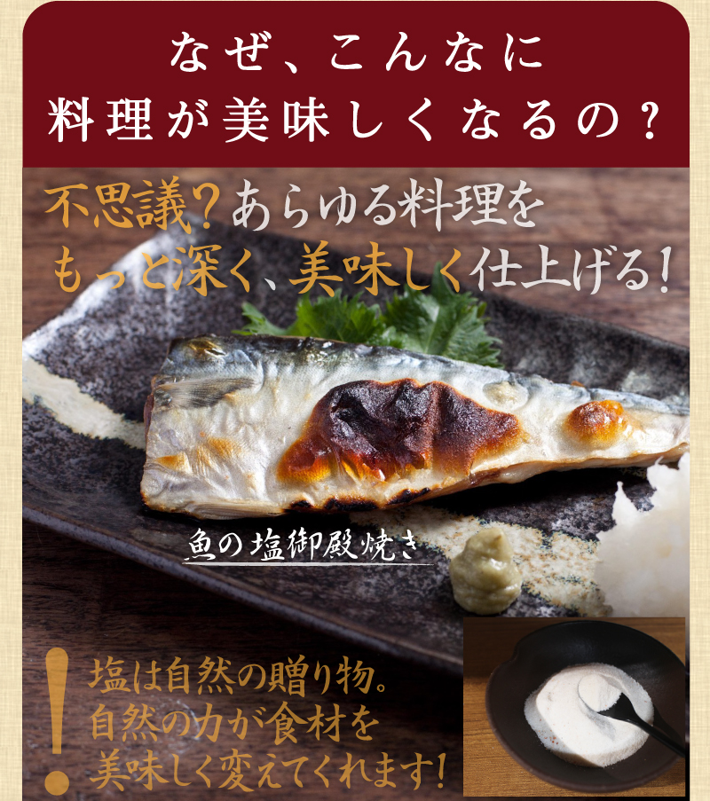 塩御殿 210g 調味料 塩 ピリ辛 ノーマル 調味料 うま味塩 宮崎 ニンニク 胡椒 唐辛子 ソルト しお スパイス キャンプ飯 お取り寄せ 送料無料  :shio-goten:タマチャンショップ - 通販 - Yahoo!ショッピング