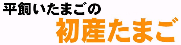 平飼い卵の初産み卵はじめました。
