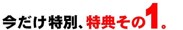 特典その１