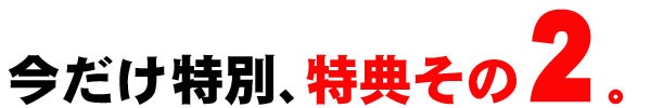 特典その２