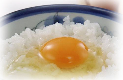 卵かけご飯