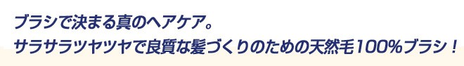 ブラシで決まる真のヘアケア。サラサラツヤツヤで良質な髪づくりのための天然毛100％ブラシ