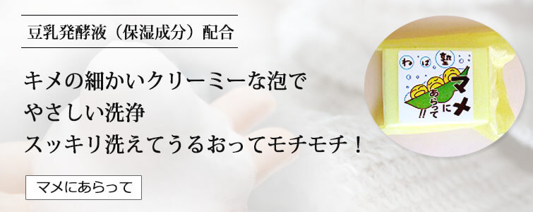 ねば塾の「マメにあらって95g」