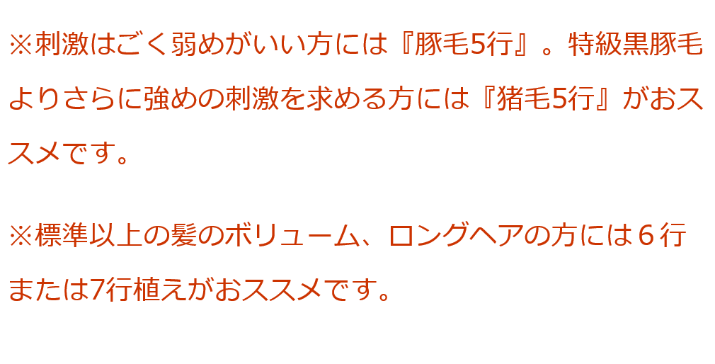 創業300年江戸屋謹製 - 特級黒豚毛5行植えヘアブラシ／特級白豚毛5行植えヘアブラシ 獣毛100％最高級ヘアブラシ ショートヘアまたは髪少なめの方向け  :bi2609:オーガニック無添加 魂の商材屋 - 通販 - Yahoo!ショッピング