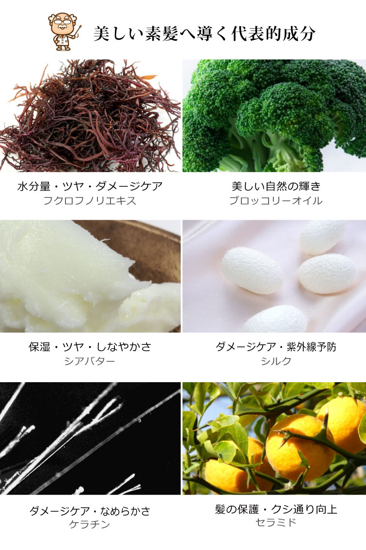 ブロッコリー種子オイル　シアバター　シルク　ケラチン　セラミド　海藻エキス