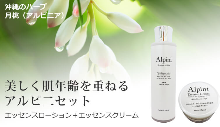 無添加 珠玉の月桃化粧品セット アルピニエッセンスローション150ml＋アルピニエッセンスクリーム50g 保湿 毛穴 ハリ キメ エイジングケア  乾燥肌対策 フルボ酸 : bi3069 : オーガニック無添加 魂の商材屋 - 通販 - Yahoo!ショッピング