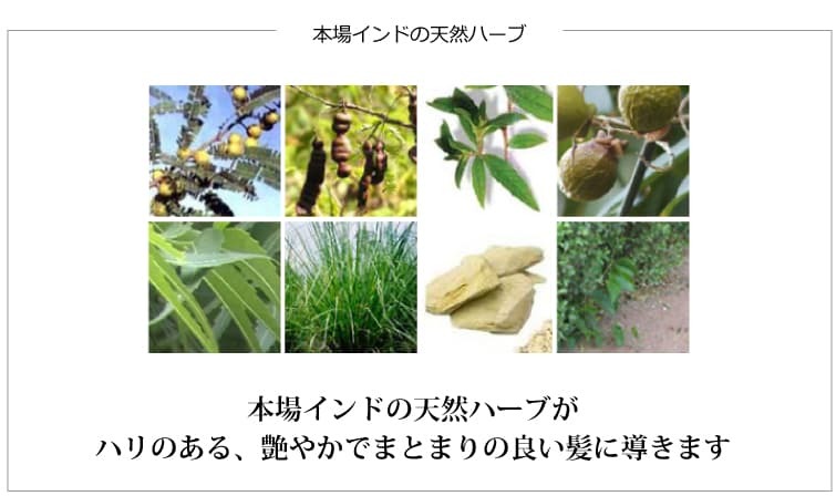魂のHBコンディショナー！本場インドの天然ハーブがハリのある、艶やかでまとまりの良い髪に導きます