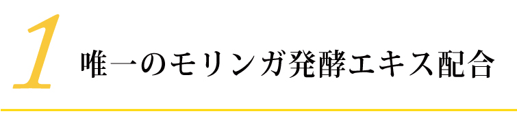 モリンガブライト化粧水 (1)唯一無二の<<乳酸発菌酵モリンガエキス>>配合