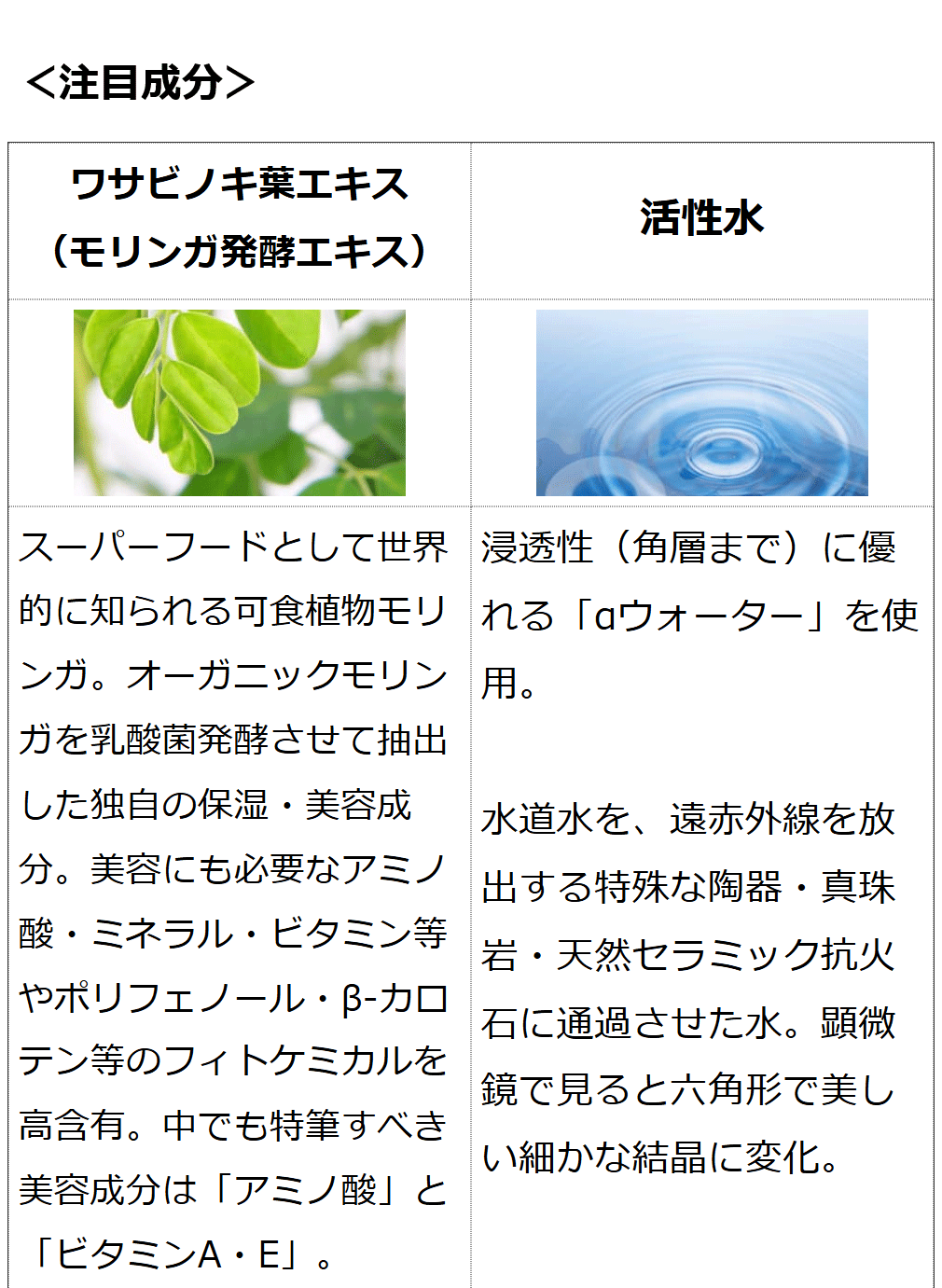 モリンガブライトミネラル化粧水