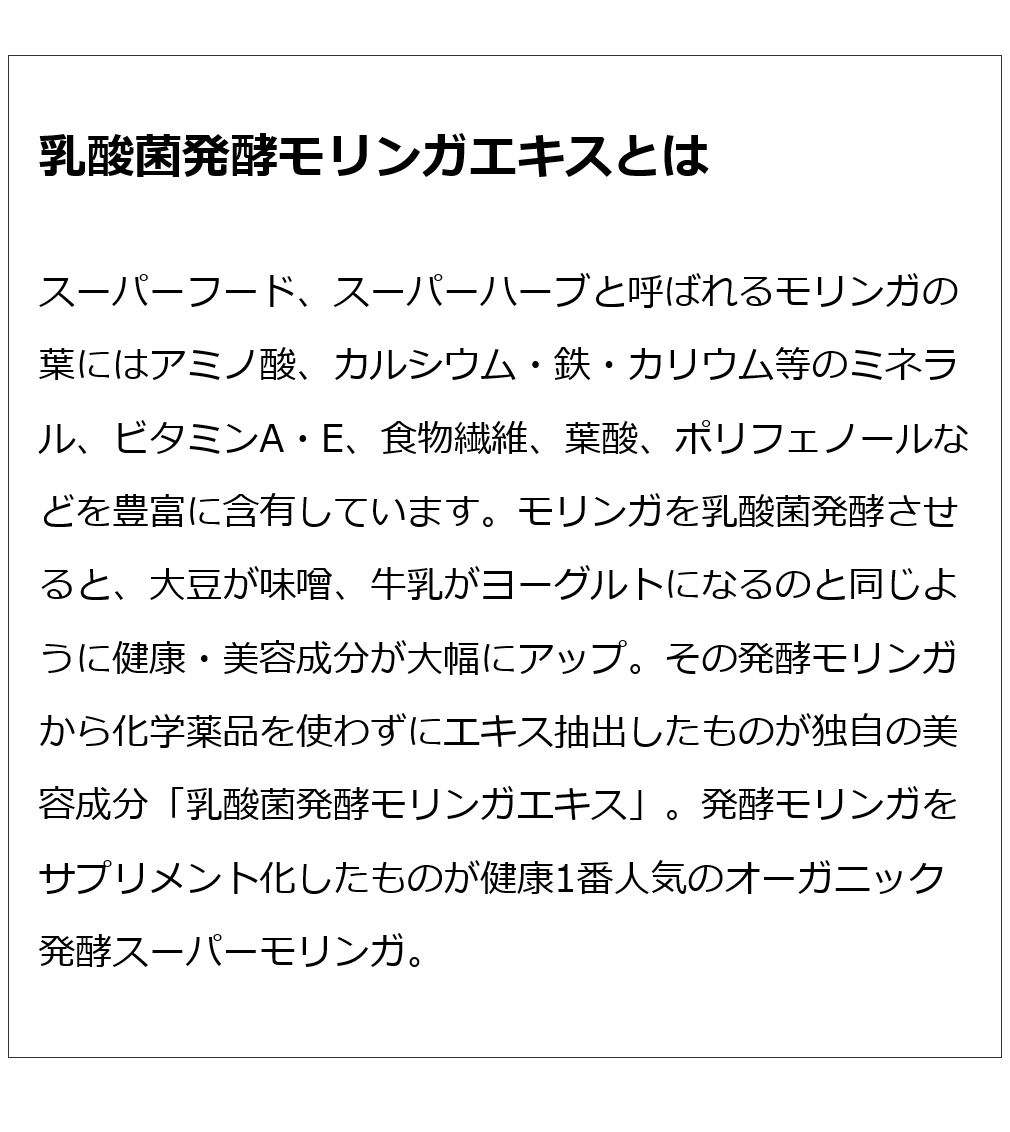 モリンガブライトミネラル化粧水＋モリンガブライトミルクセット