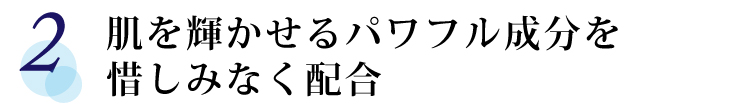 【2】 肌を輝かせるパワフル成分を惜しみなく配合