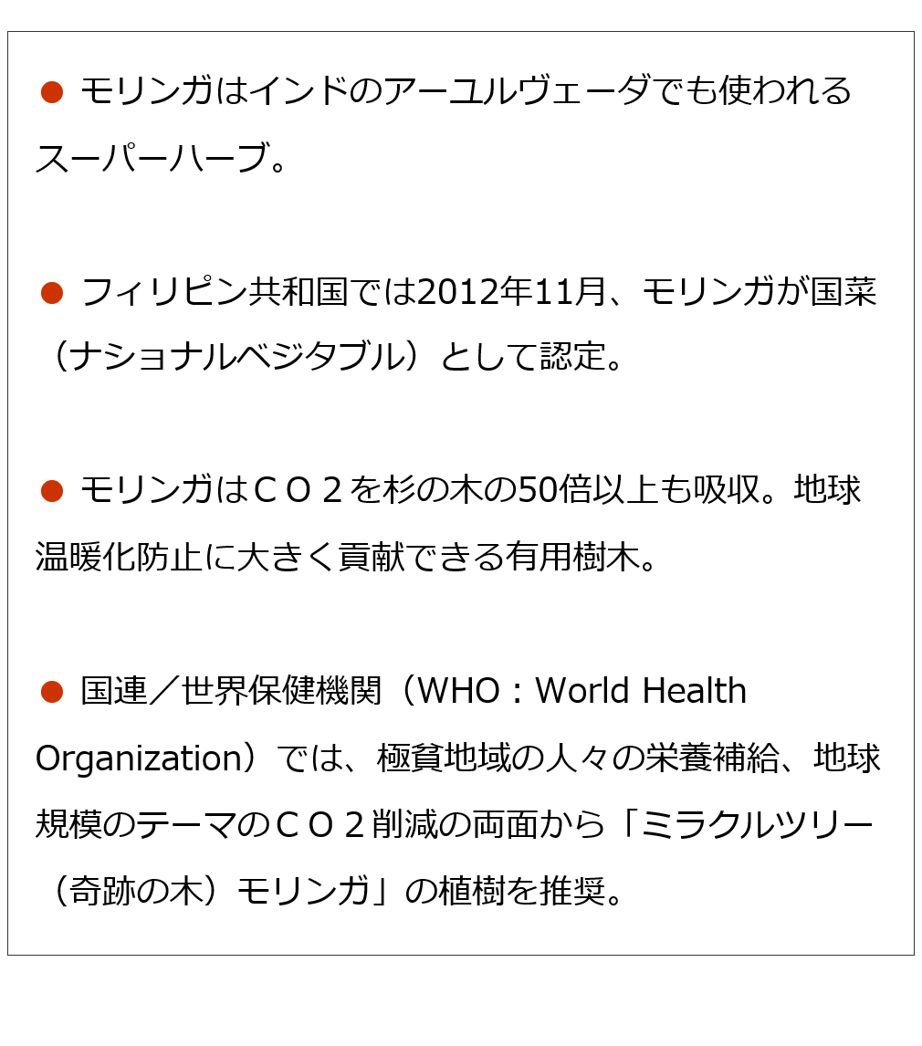 モリンガ茶 3 5g 30パック 沖縄産 無農薬モリンガ焙煎茶 ノンカロリー ノンカフェイン モリンガ販売のパイオニア 魂の商材屋 のモリンガ茶 Ke3048 オーガニック無添加 魂の商材屋 通販 Yahoo ショッピング