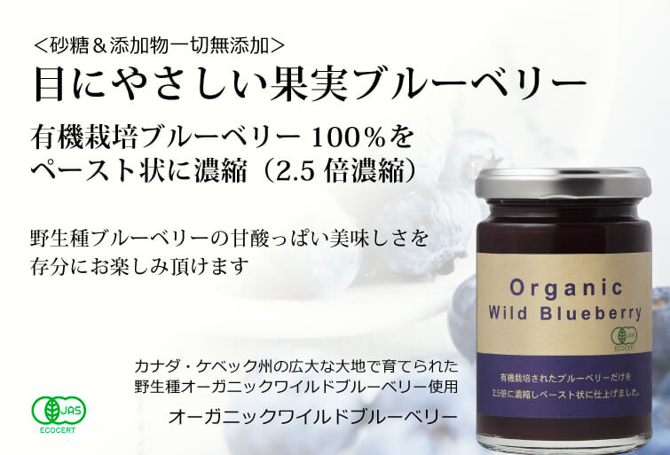 オーガニックワイルドブルーベリー 145g   目にやさしい果実ブルーベリー