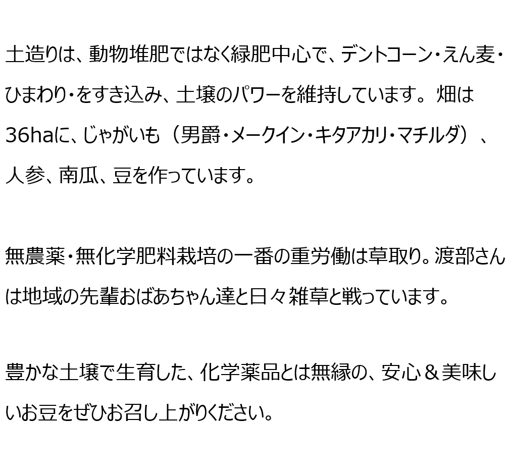 北海道産 無農薬小豆 - 渡部信一さんの小豆約1kg 無農薬・無化学肥料