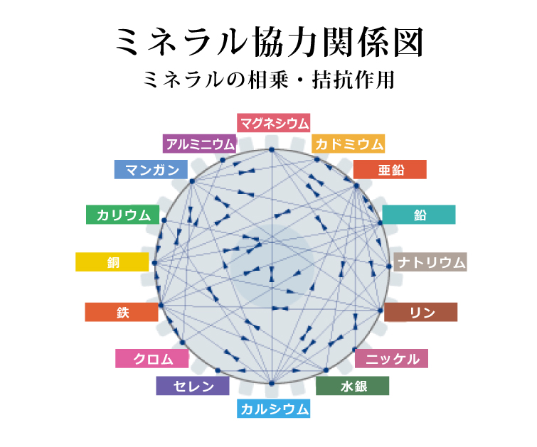 フルボ酸 太古の泉　ミネラル協力関係図