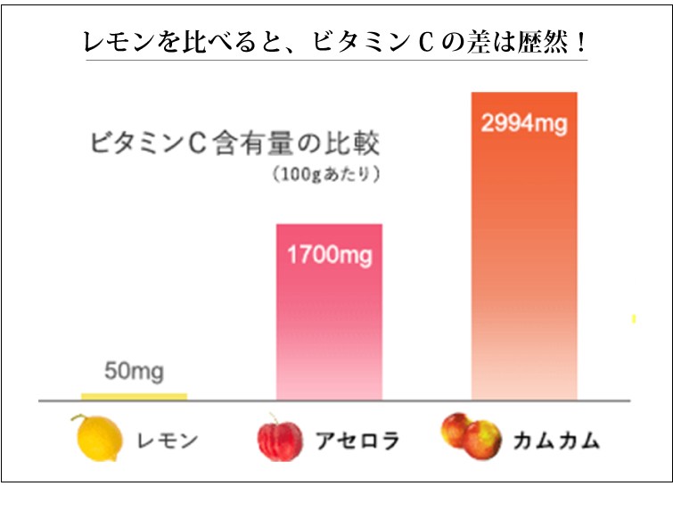 果実まるごと天然ビタミンCサプリ ボタニカルビタミンＣ  