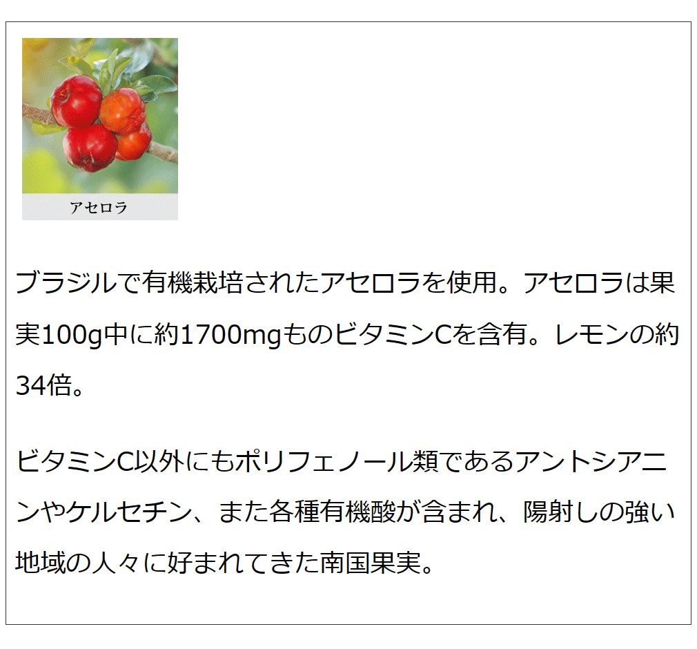 果実まるごと天然ビタミンCサプリ ボタニカルビタミンＣ  