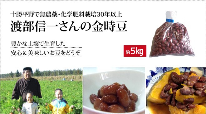 限定価格セール 北海道産 無農薬金時豆 渡部信一さんの金時豆 約1kg ５袋 無農薬 無化学肥料栽培30年の美味しい金時豆 渡部信一さんは 化学薬品とは無縁の生産者 2020超人気 Worlds4 Co Uk