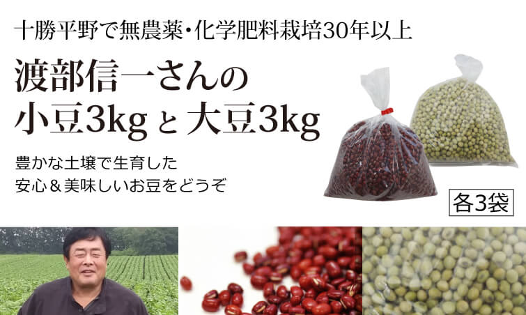 北海道産 無農薬 小豆・大豆 - 渡部信一さんの小豆約3kg（約1kg×3個