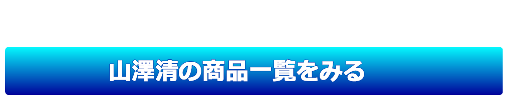 山澤清の商品一覧をみる 