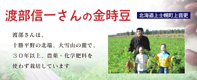 無農薬金時豆「渡部信一さんの金時豆（約1kg×20袋）」 乾燥豆類 魂の商材屋 無農薬·無化学肥料栽培30年の美味しい金時豆 金時豆 渡部信一さんは化学薬品とは無縁の生産者  食品 北海道産 :ke7099:オーガニック無添加