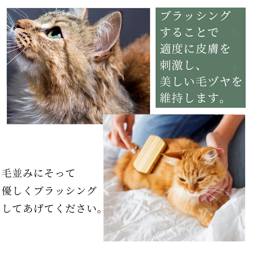 ペットブラシ Redecker レデッカー 高級天然木 キャットブラシ 491019