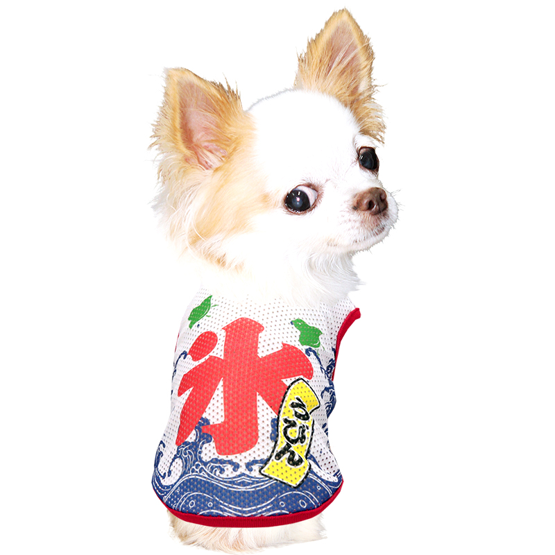 Tambedy（タムベディ） ＼お得なSALE開催中／犬 服 犬の服 夏服用 名前