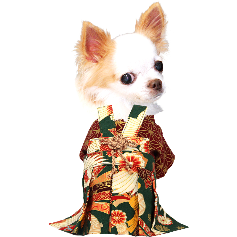 Tambedy（タムベディ） ＼お得なSALE開催中／犬 服 犬の服 秋服 冬服用