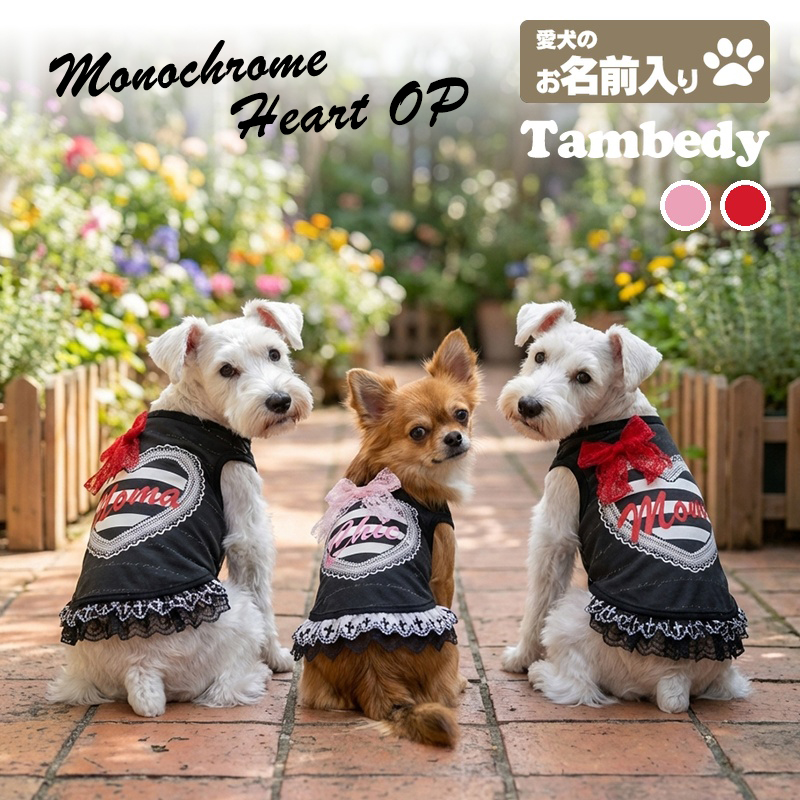 Tambedy（タムベディ） ＼お得なSALE開催中／犬 服 犬の服 秋服 冬服用