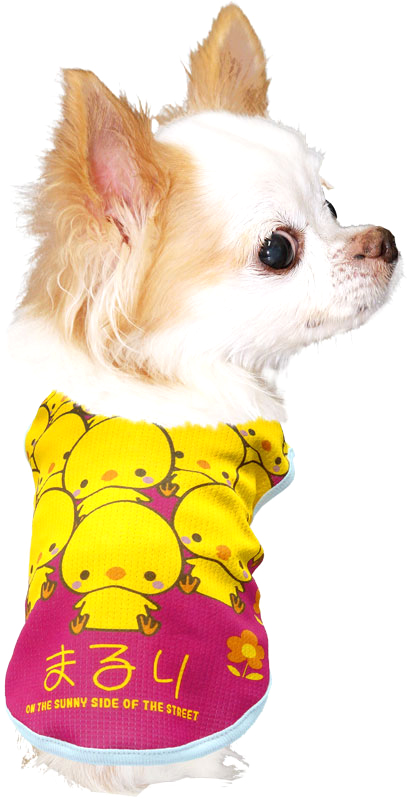 Tambedy ＼最大1000円オフ30日23:59まで／犬 服 犬の服 名入れ 春服 夏