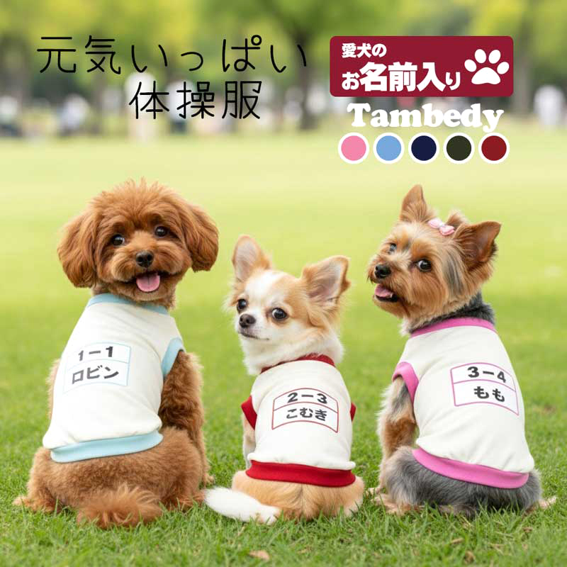 Tambedy（タムベディ） ＼お得なSALE開催中／犬 服 犬の服 名入れ 秋冬