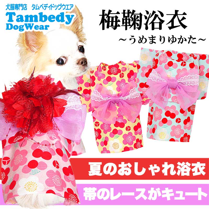 再入荷！！小型犬Sサイズ 着物 袴 犬服 和服 和装 小型犬 ドレス