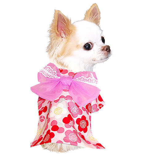 犬の着物黒鞠Mサイズ 楽天市場】柴犬 着物 袴 ONE歩オリジナル【高級袴 小桜】 中型犬