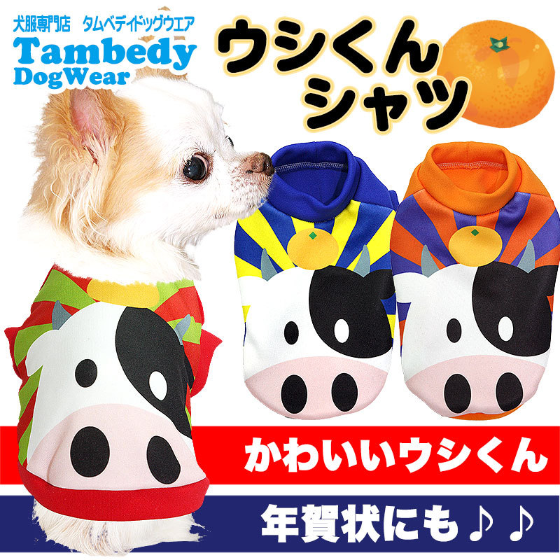 Tambedy（タムベディ） ＼冬物クリアランスSALE開催中／犬 服 秋冬