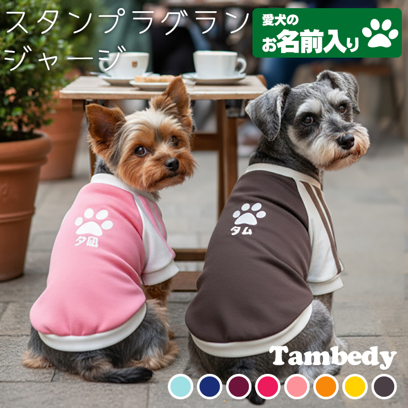 Tambedy（タムベディ） ＼冬物クリアランスSALE開催中／犬 服 名入れ