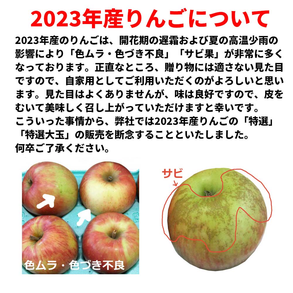 青森りんご 産地直送 ふじ サンふじ りんご 葉とらず 10kg 10キロ 36