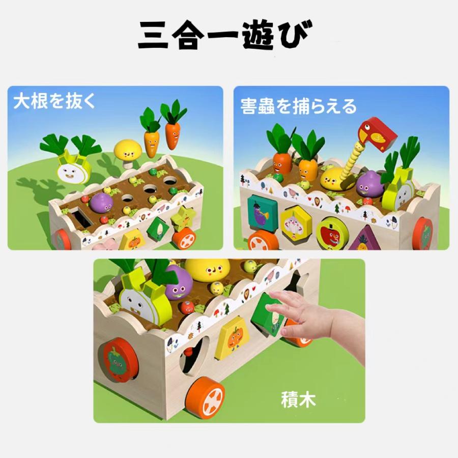 知育玩具 arakien 楽天市場】6in1 多機能おもちゃボックス 早期開発 指先訓練 木の
