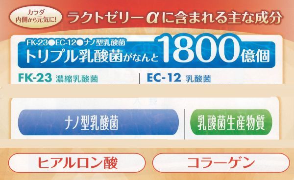 乳酸菌ゼリー ラクトゼリー 30包入り×2個 ギフト コラーゲン