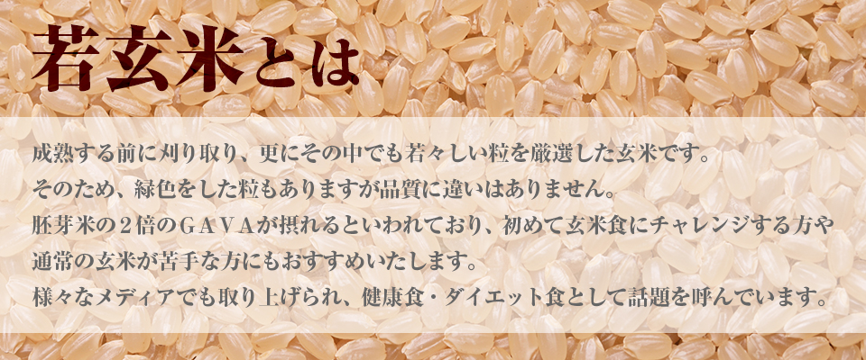 特別価格 若玄米 秋田県産あきたこまち 米 お米 30kg 令和4年産 真空パック 5kg×6袋 clotprogram.org