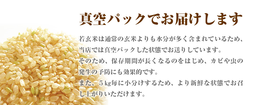 特別価格 若玄米 秋田県産あきたこまち 米 お米 30kg 令和4年産 真空パック 5kg×6袋 clotprogram.org