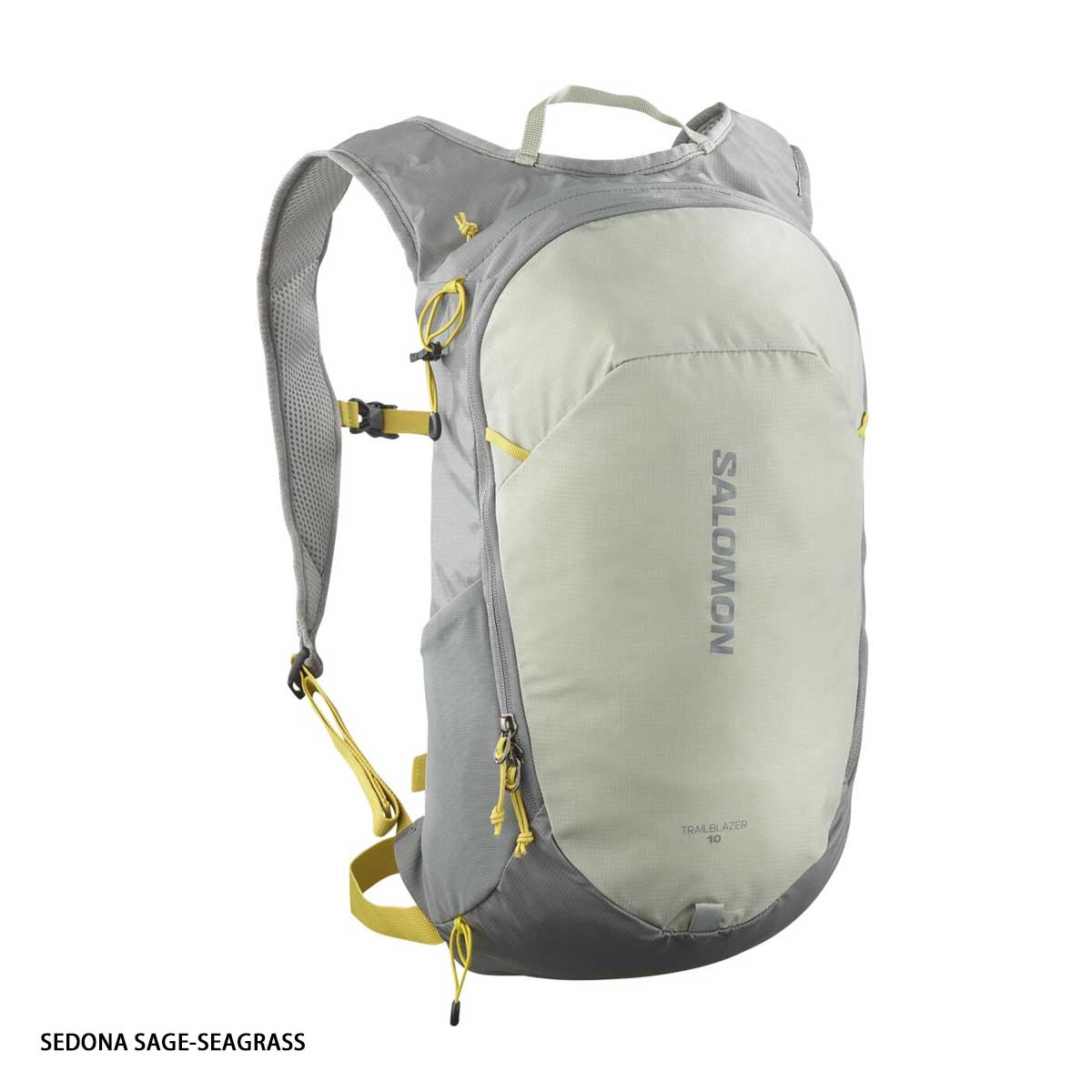 SALOMON（サロモン） バッグ・ケース バッグパック メンズ レディース