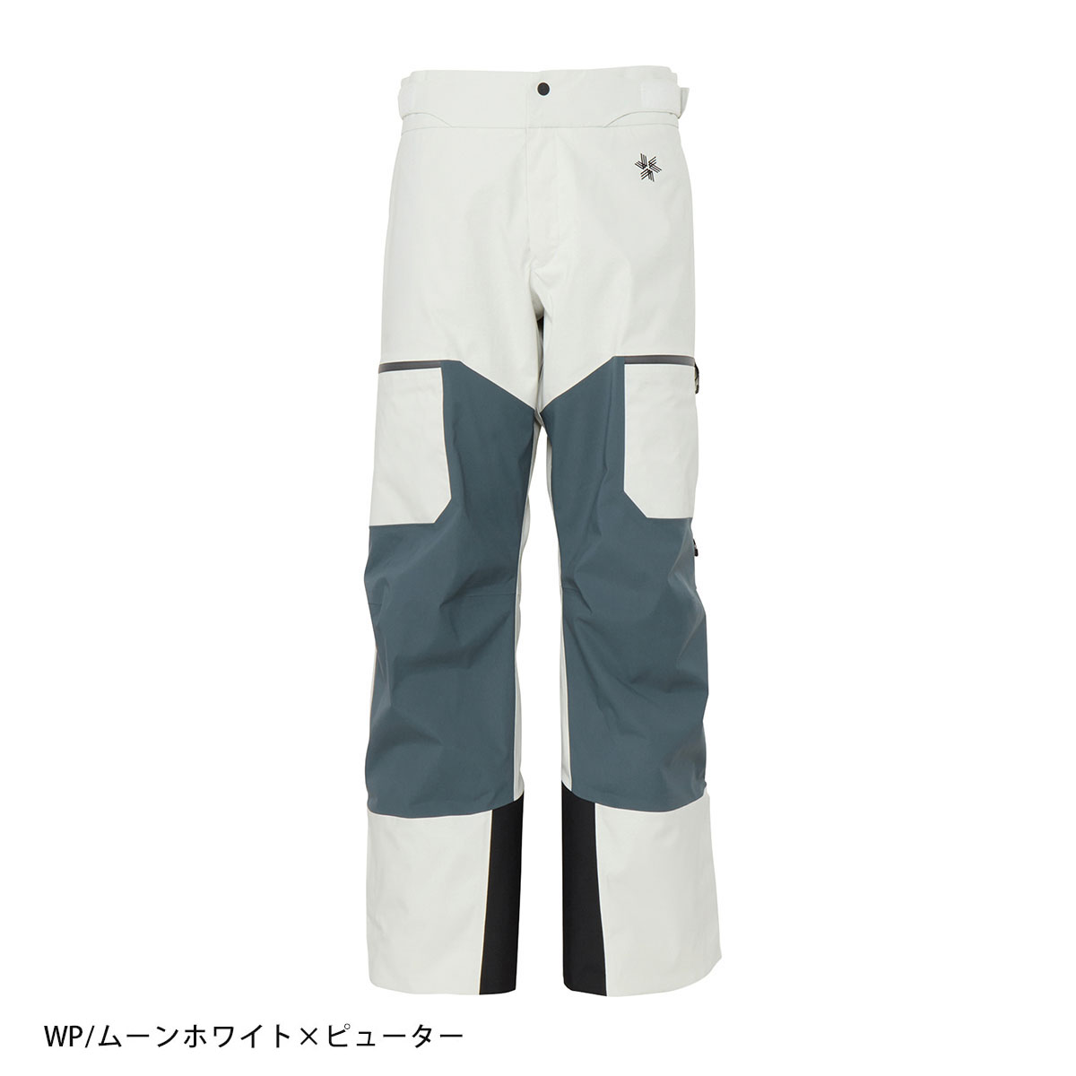 GOLDWIN（ゴールドウイン） スキーウェア パンツ メンズ レディース