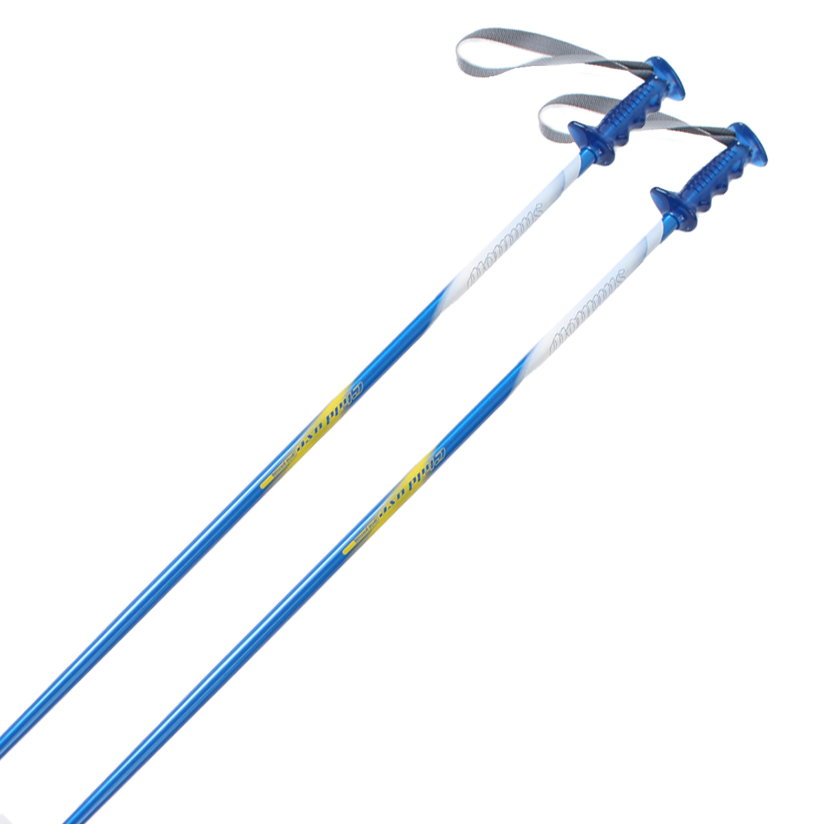 スワロー SWALLOW スキー ポール・ストック ジュニア キッズ＜2022