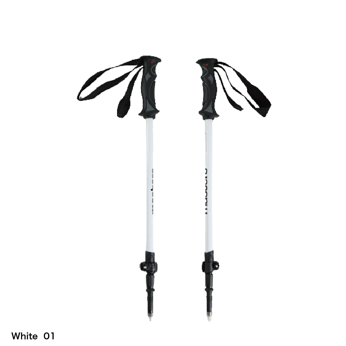 MASTERS マスターズ スキー ポール ストック 伸縮式 ＜2024＞ SEVEN