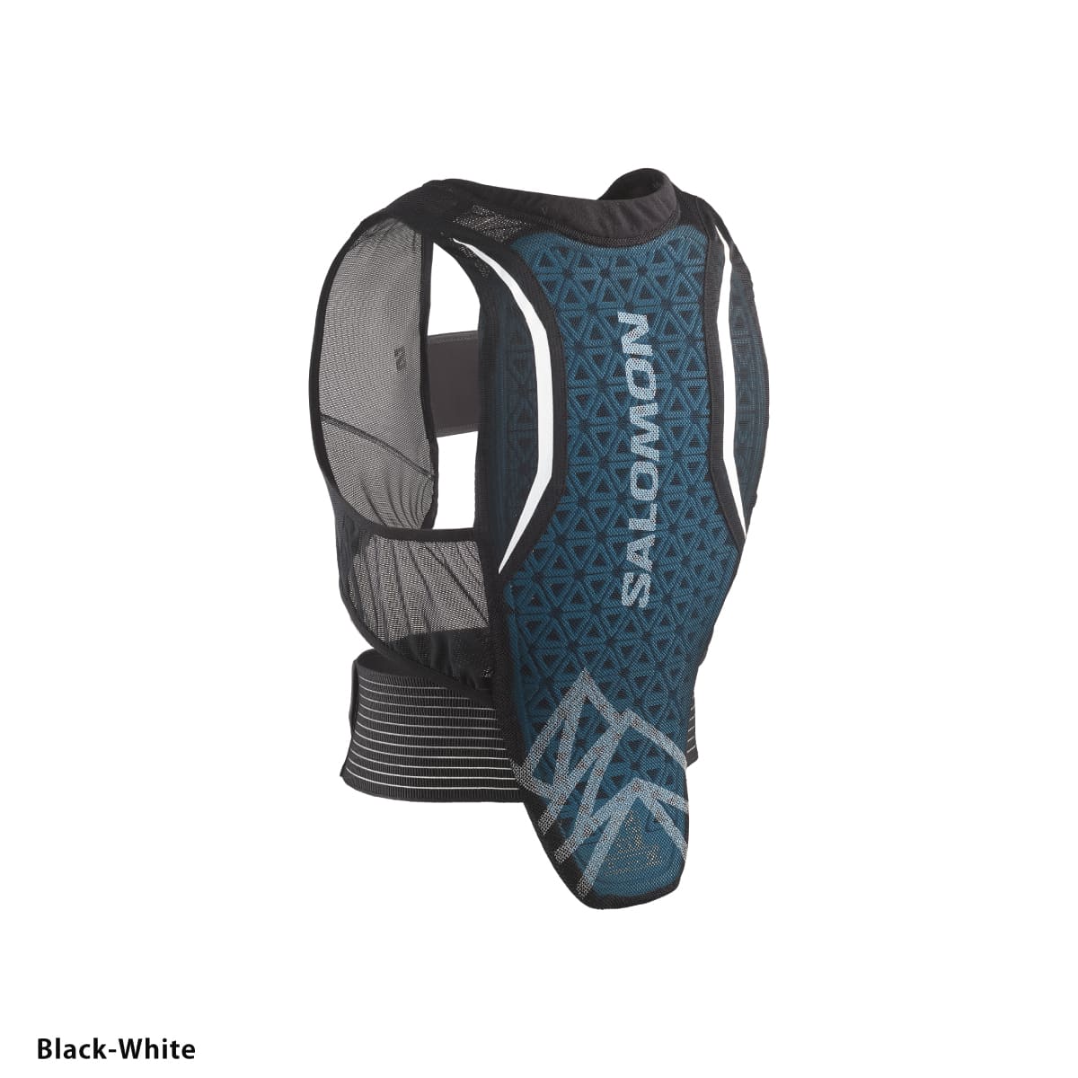 SALOMON - 【SALOMON】バックプロテクター男性用 SALOMON（サロモン） スキー バックプロテクター 脊椎パット メンズ