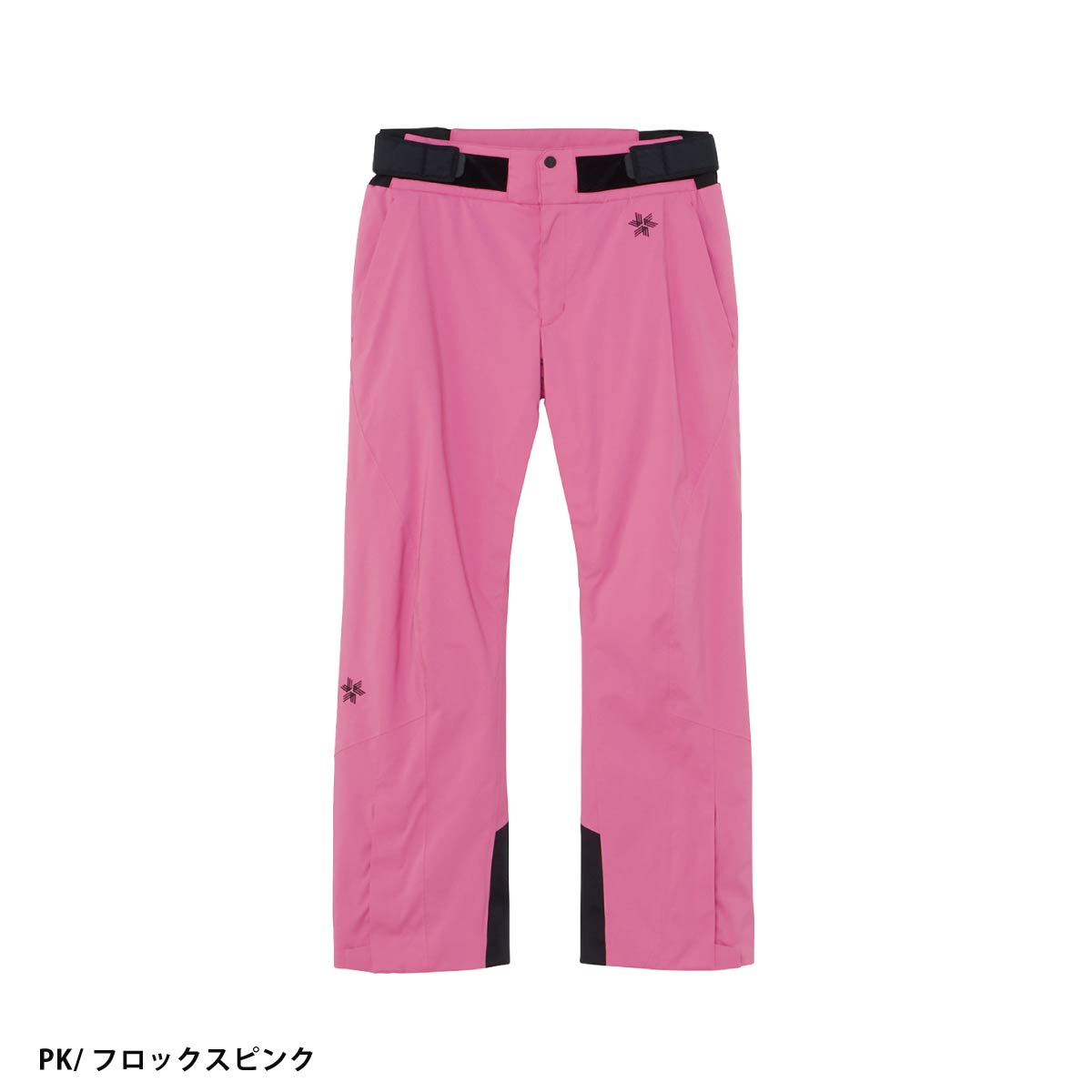 GOLDWIN（ゴールドウイン） スキーウェア スキーパンツ パンツ メンズ